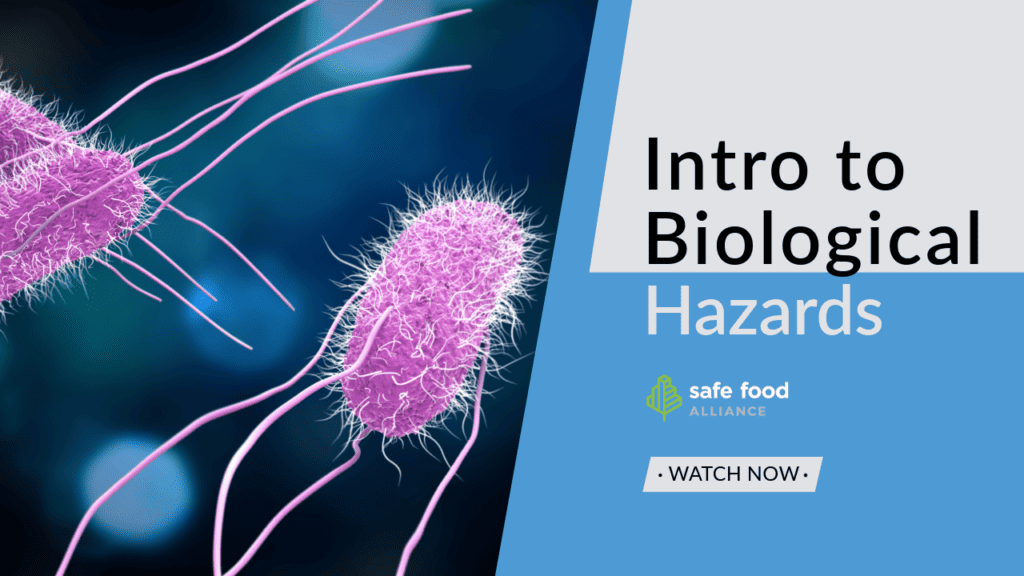 HACCP 101: Intro to Biological Hazards