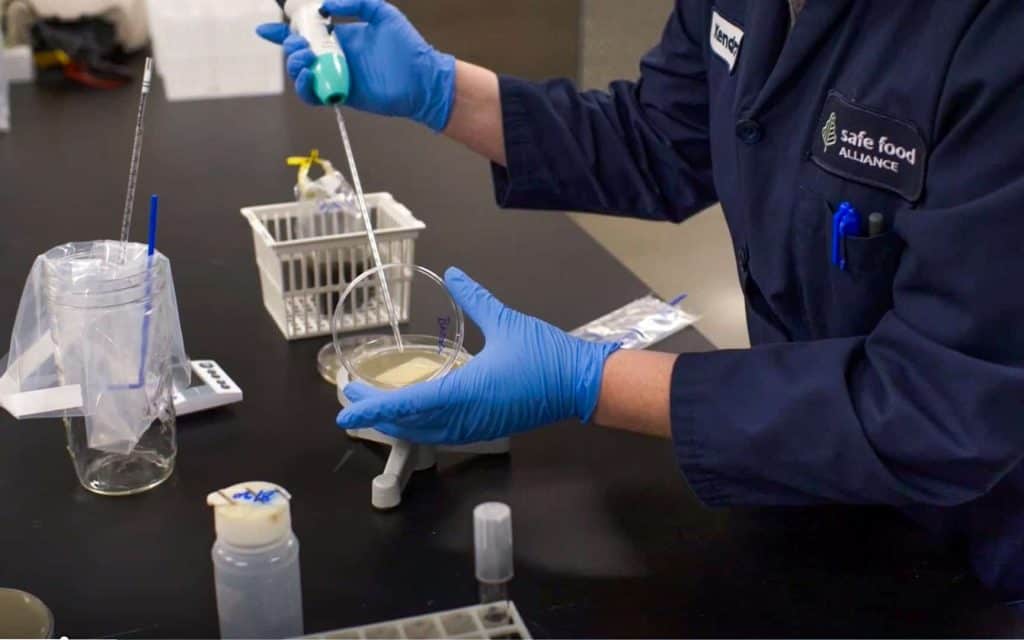 Safe Food Alliance Employee performing test